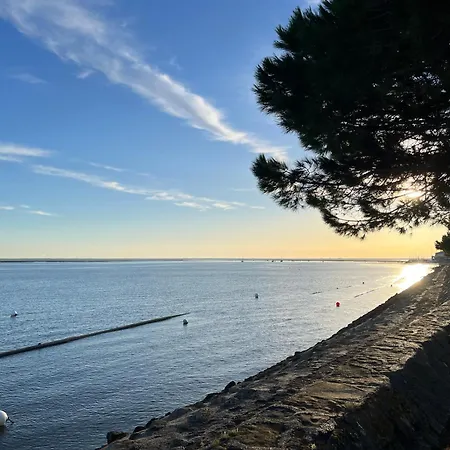 Maison T3 Mitoyenne Avec Jacuzzi Et Jardin Hébergement de vacances Arcachon